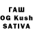 Конопля ГИДРОПОН Kulvir Brar