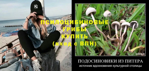 дурь Алзамай