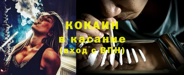 твердый Алексеевка
