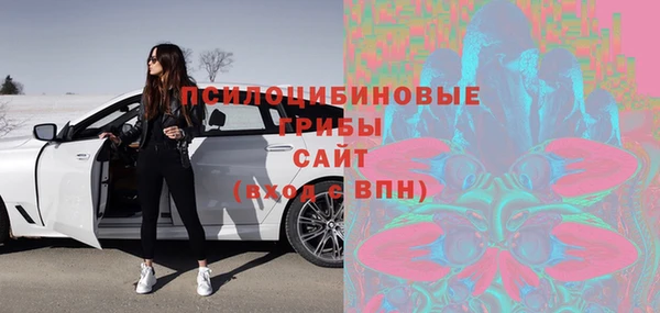 дурь Алзамай