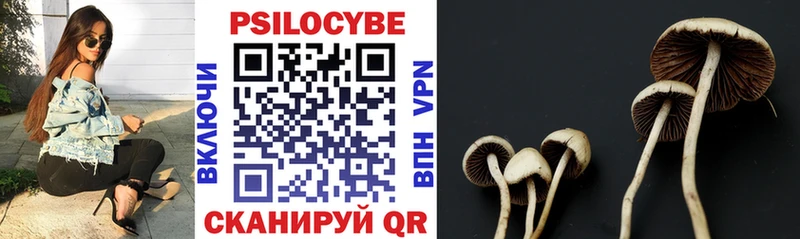 где продают   Муром  Галлюциногенные грибы Cubensis 